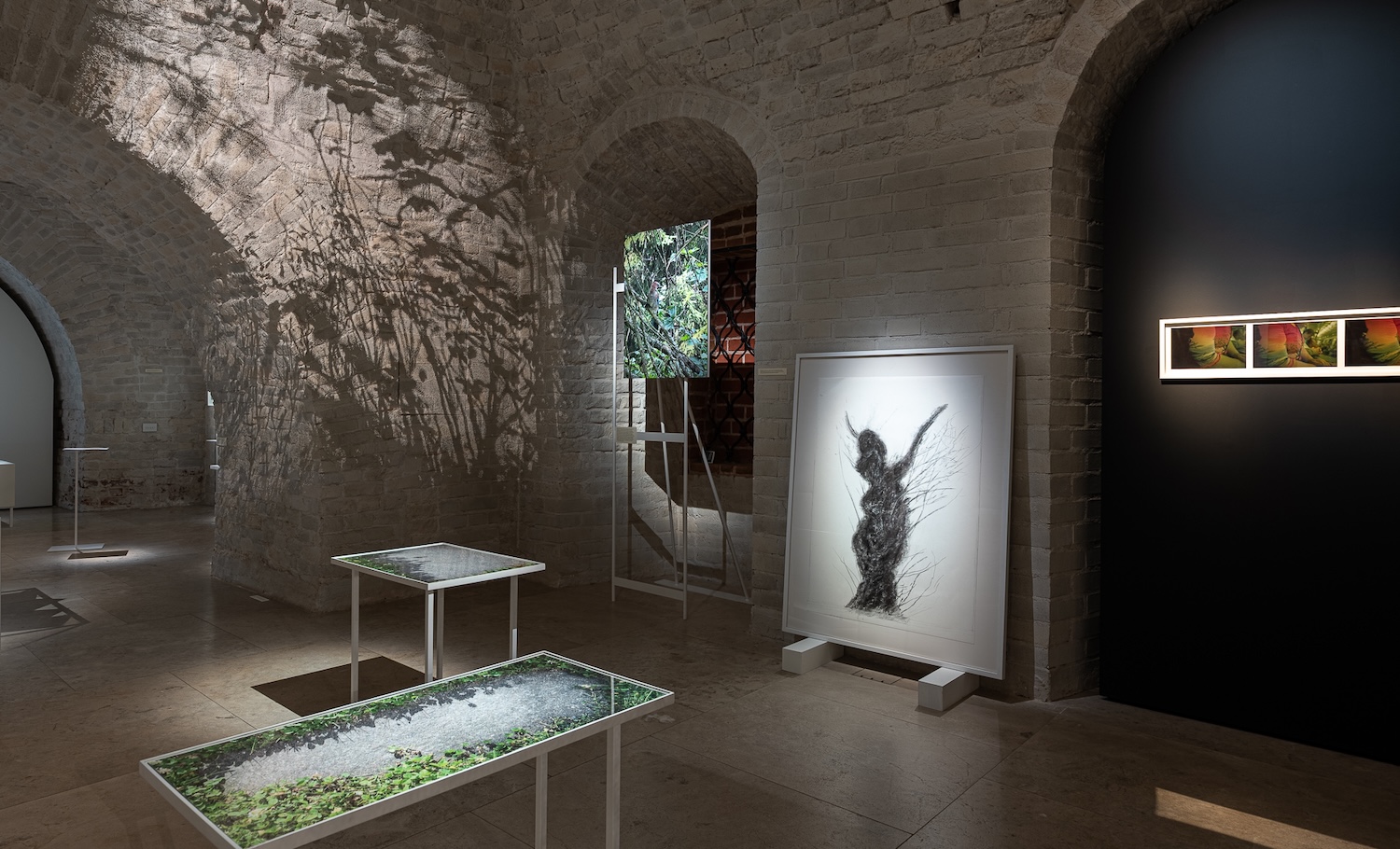 Дискуссия Юрия Сапрыкина и Александра Иванова «Уолден, или Жизнь в лесу. Дэвид Генри Торо»